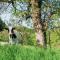 Roudenhaff Guestfarm