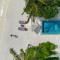 Emerald Faarufushi Resort & Spa - Raa Atoll