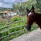 Finca Sierra Luz