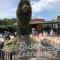 Minutes to Fairgrounds, Hard Rock, & Busch Gardens - Tampa