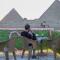 Hotel pyramids show rooftop