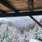 Alpine 1 bed Chalet with beautiful views - Le Biot