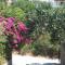 Villas Georgy
