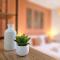 Chez Mamie Aline par Madame Conciergerie