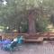 Yosemite International Hostel - Groveland