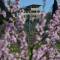 VILLA Fermi - FIRENZE