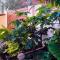 Shanti Garden House