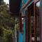 Ecocasa azul - Chalé na mata