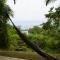 Samai Lodge Holistic Living
