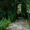 Samai Lodge Holistic Living