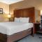 Comfort Inn University Buffalo-Amherst NY