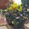 Residencial Arcoiris