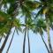 Casita Isla Beach Inn