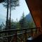 Forest View Cottage