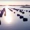 Residentie Oosterschelde