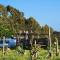 Olas de Chile Ecocamp - 皮奇勒姆