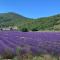 Au Coeur de la Provence