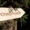 Domek Wonkopianka