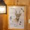 Wild Cabañas Boutique