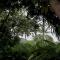 Kebun Rohani Cottages