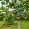 Sohana Eco Retreat Farmhouse - Karjat