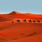 A high-class camp in the desert - Merzouga