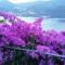Simo House/ Stunning Lake View/ Balcony - 卡拉泰乌廖