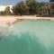 le pénéquet : climatisé, piscine lagon au milieu des chênes - Le Beaucet