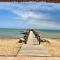 Peaceful Oasis at the Beach