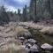 3B/1B Riverfront Retreat Nestled on 1/3 Acre in Payson, Year-Round Nature Escape - Beaver Valley Estates Subdivision