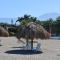 Hotel Partenon Beach - La Ceiba