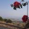 Self-Contained Garden apartment with Galilee sea & mountains view 2