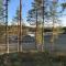 Velkommen til Finnskogen og minihytta Rimbila - 孔斯温厄尔