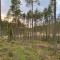 Velkommen til Finnskogen og minihytta Rimbila - 孔斯温厄尔