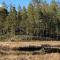 Velkommen til Finnskogen og minihytta Rimbila - 孔斯温厄尔