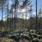 Velkommen til Finnskogen og minihytta Rimbila - 孔斯温厄尔