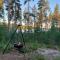 Off-grid minihus på Finnskogen. - 孔斯温厄尔