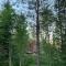 Off-grid minihus på Finnskogen. - 孔斯温厄尔