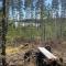 Off-grid minihus på Finnskogen. - 孔斯温厄尔