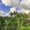 Heri house ubud - 乌布