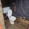 Shiva Shanti Camp