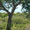 St. Lucia Ocean View Holiday Home - St Lucia