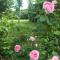 Thyholm B&B