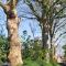 Tiny House Tholen