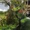 Tegal Sari Accommodation Ubud - 乌布