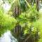 Kibale Forest Camp by NATURE LODGES LTD