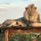 Weltevreden Game Lodge