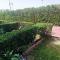 Harmony Sunny Chalet With Wi-Fi - 赫尔格达