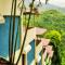 The View Munnar