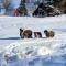 Highland Glen Lodges